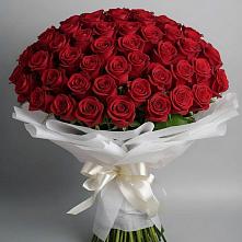 Букет 101 Красная роза Блэк Мэджик в Глинищево