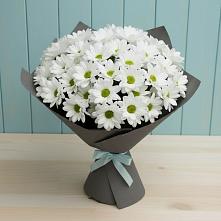 Букет цветов из:  Хризантемы #REPLACE_PRED# Глинищево